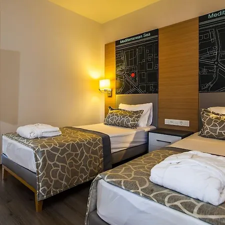 Hotel Avena & 4*