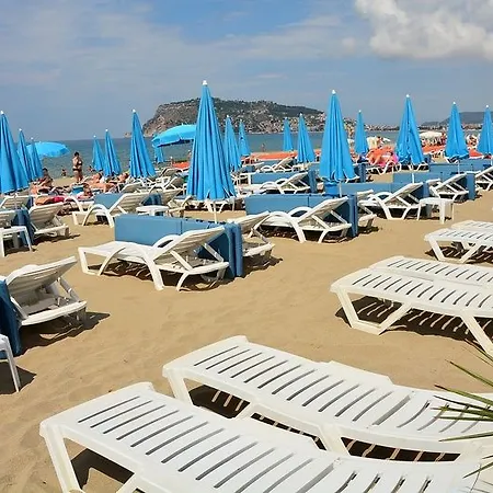 Hotel Avena & 4*